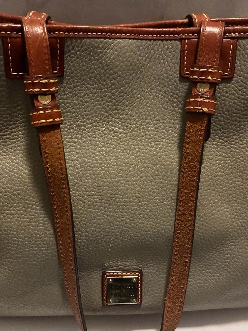 Dooney & Bourke Sage Green Leather Shoulder Bag with Brown Trim